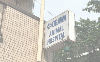 小川動物病院